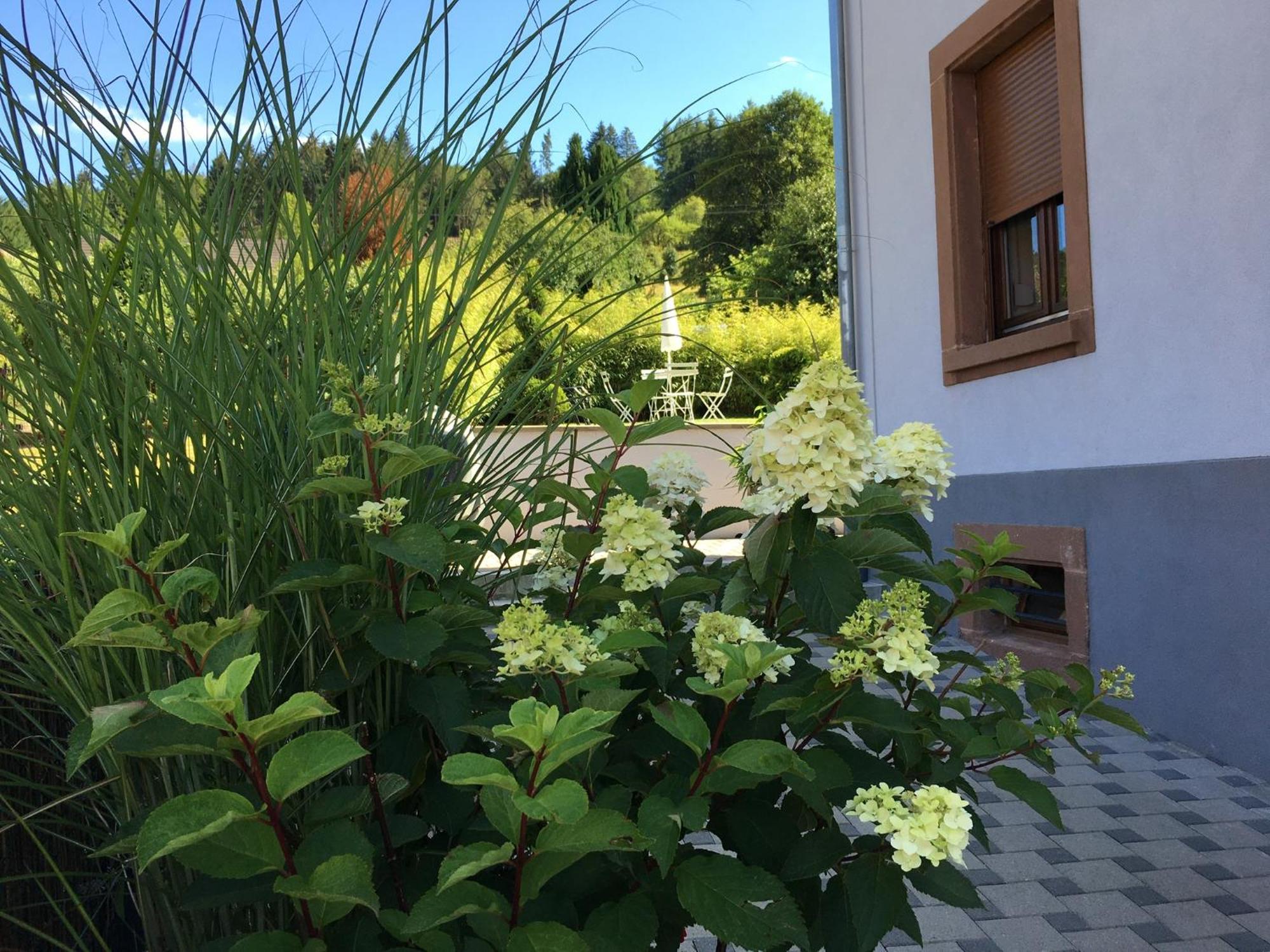 Les Magnolias En Alsace - Meuble De Tourisme 3 Etoiles Apartment Barembach Exterior photo
